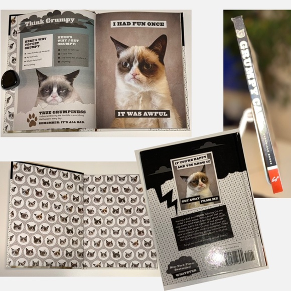 💙 3/$21 HARDCOVER: Grumpy Cat: A Grumpy Book - Picture 2 of 3